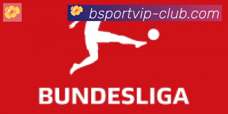 Bsports官网合作伙伴